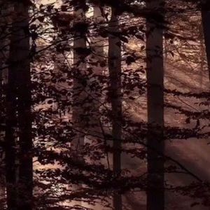 Meet your Posher, Lexi